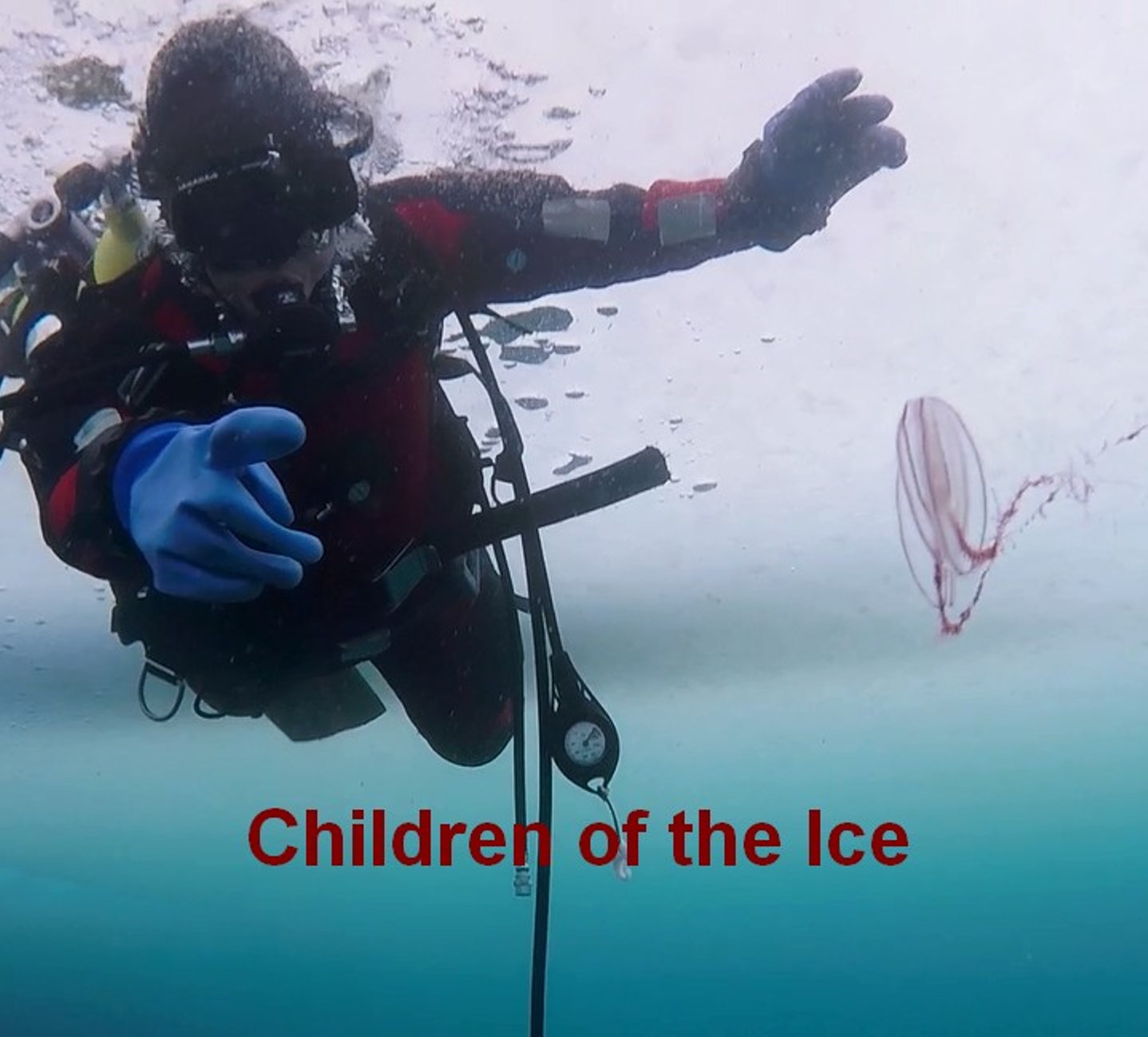 Children from the Children's Home diving with 'Under the Pole'
